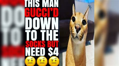 gucci down to the socks genius|gucci socks tiktok.